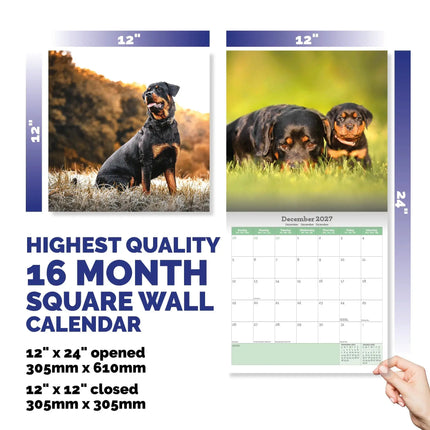 Baker & Bray Rottweiler Kalender 2026