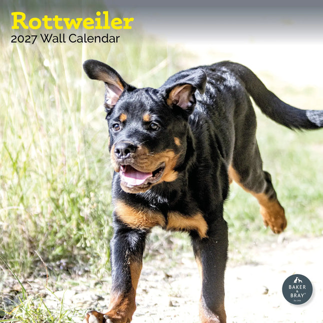 Baker & Bray Rottweiler Kalender 2027