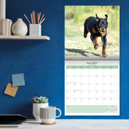 Baker & Bray Rottweiler Kalender 2027