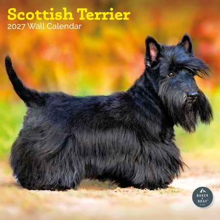 Baker & Bray Schotse Terrier Kalender 2027