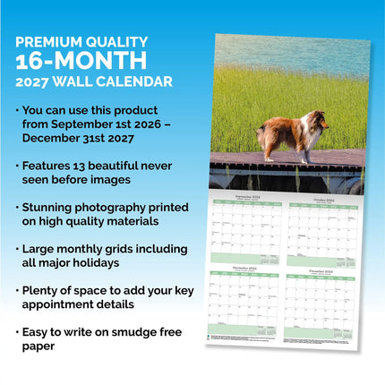 Baker & Bray Shetland Sheepdog Kalender 2027
