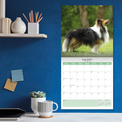 Baker & Bray Shetland Sheepdog Kalender 2027