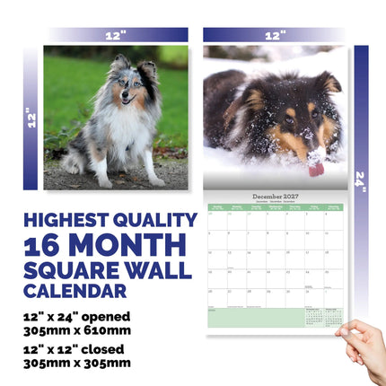 Baker & Bray Shetland Sheepdog Kalender 2027