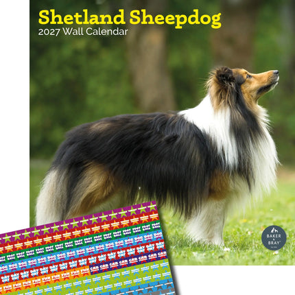 Baker & Bray Shetland Sheepdog Kalender 2027