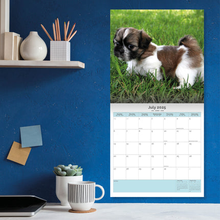 Baker & Bray Shih Tzu Kalender 2025