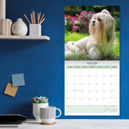 Baker & Bray Shih Tzu Kalender 2026