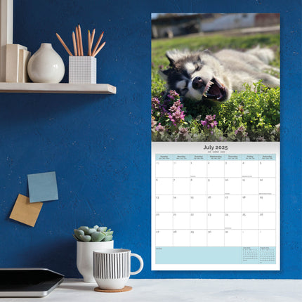 Baker & Bray Siberische Husky Kalender 2025