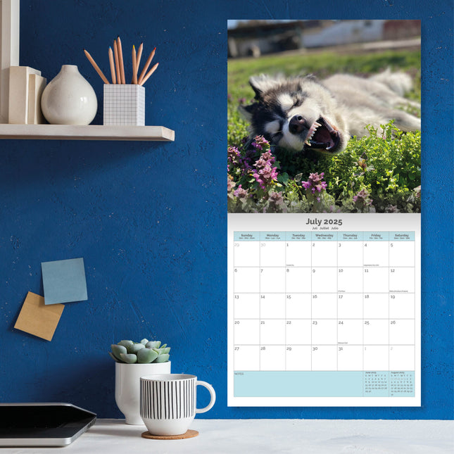 Baker & Bray Siberische Husky Kalender 2025