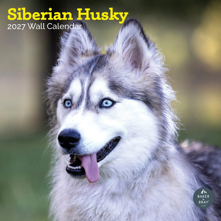 Baker & Bray Siberische Husky Kalender 2026