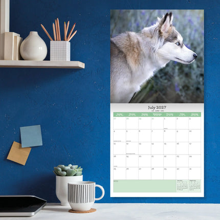 Baker & Bray Siberische Husky Kalender 2026