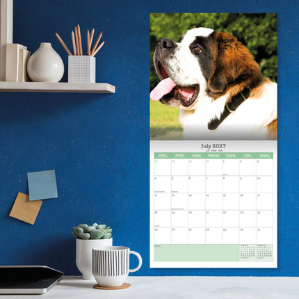 Baker & Bray Sint Bernard Kalender 2027