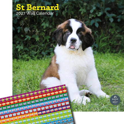 Baker & Bray Sint Bernard Kalender 2027