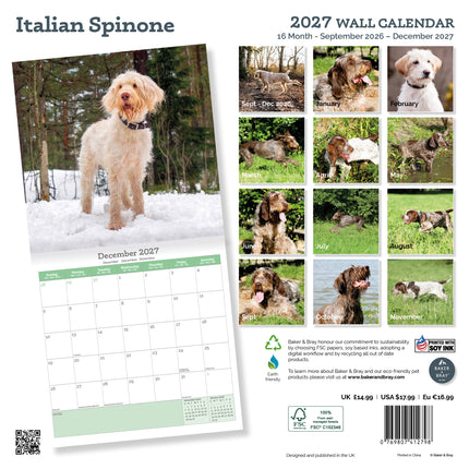Baker & Bray Spinone Italiano Kalender 2027