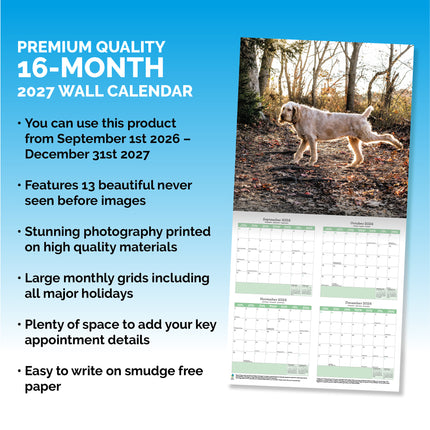 Baker & Bray Spinone Italiano Kalender 2027