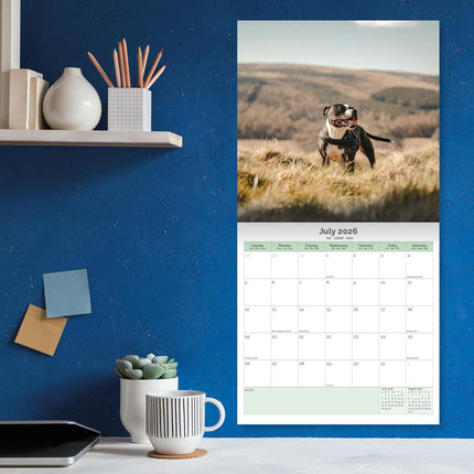 Baker & Bray Staffordshire Bull Terrier Kalender 2026