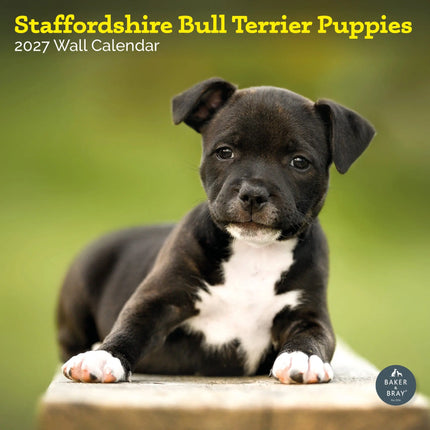 Baker & Bray Staffordshire Bull Terrier Puppies Kalender 2026