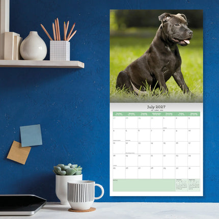 Baker & Bray Staffordshire Bull Terrier Puppies Kalender 2026