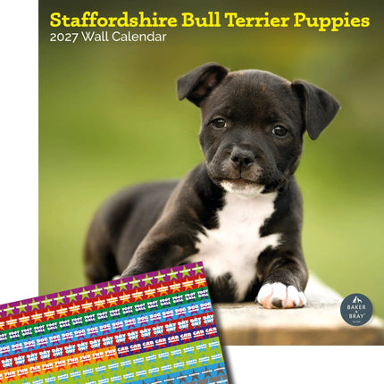 Baker & Bray Staffordshire Bull Terrier Puppies Kalender 2026