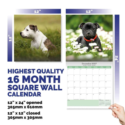 Baker & Bray Staffordshire Bull Terrier Puppies Kalender 2027