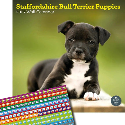 Baker & Bray Staffordshire Bull Terrier Puppies Kalender 2027