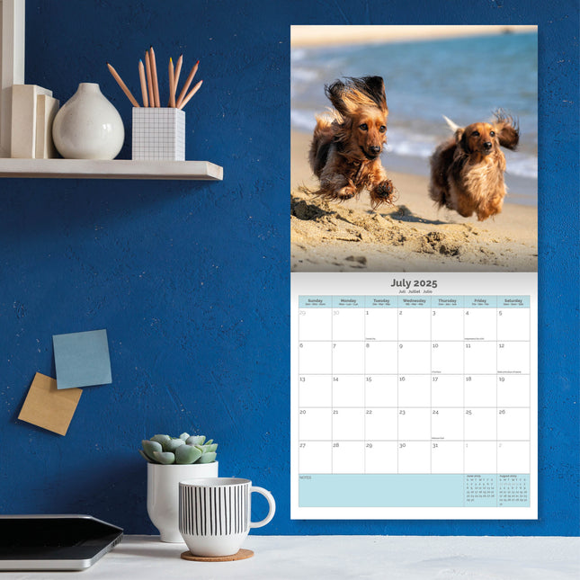 Baker & Bray Teckel Kalender 2025