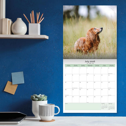Baker & Bray Teckel Kalender 2026