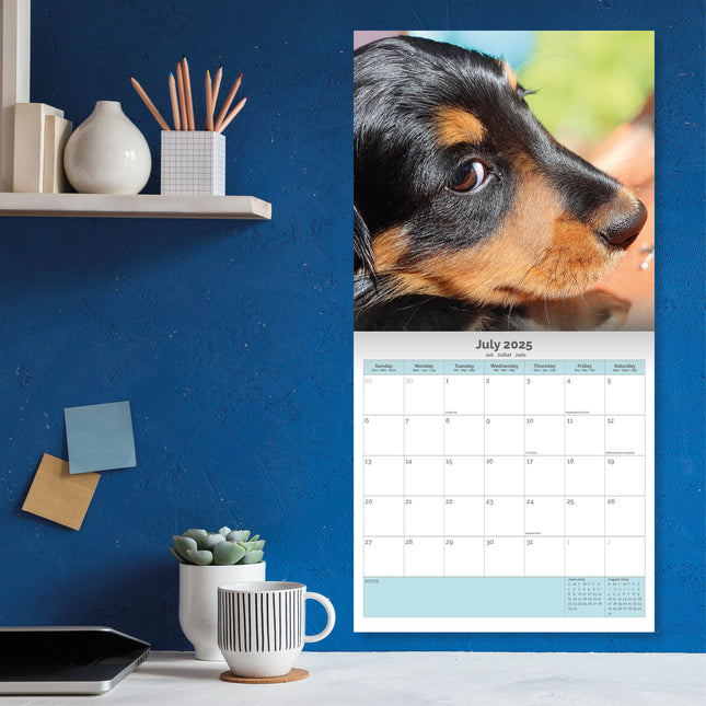 Baker & Bray Teckel Puppies Kalender 2025