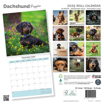Baker & Bray Teckel Puppies Kalender 2025
