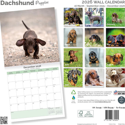 Baker & Bray Teckel Puppies Kalender 2026