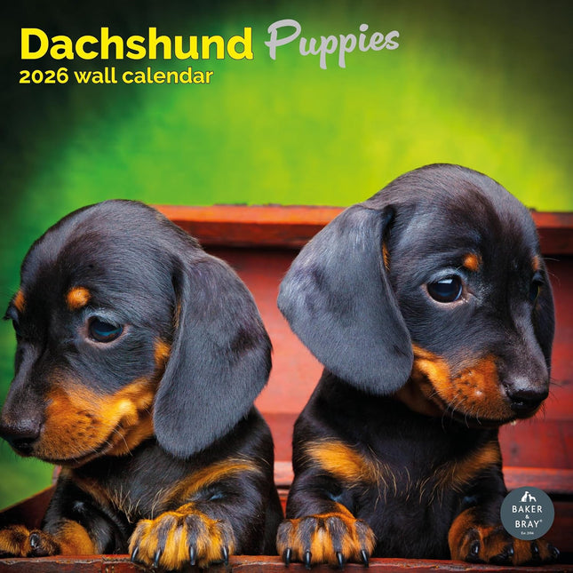 Baker & Bray Teckel Puppies Kalender 2026