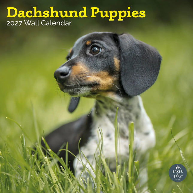 Baker & Bray Teckel Puppies Kalender 2027