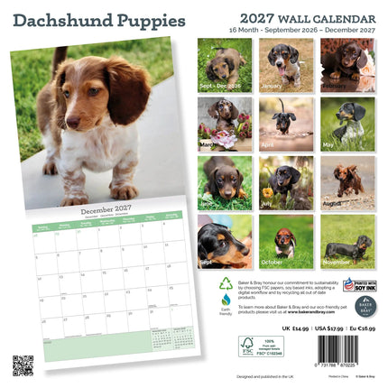 Baker & Bray Teckel Puppies Kalender 2027