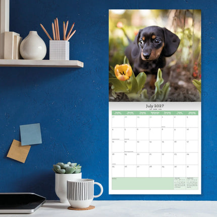 Baker & Bray Teckel Puppies Kalender 2027