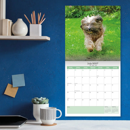 Baker & Bray Tibetaanse Terrier Kalender 2027
