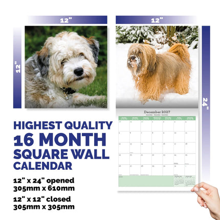 Baker & Bray Tibetaanse Terrier Kalender 2027