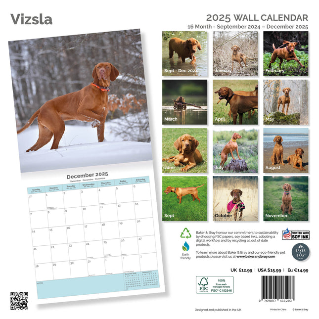 Baker & Bray Vizsla Kalender 2025