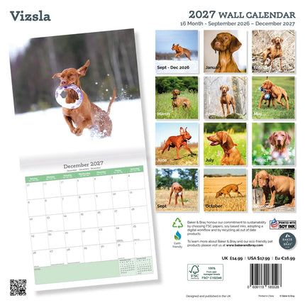 Baker & Bray Vizsla Kalender 2027