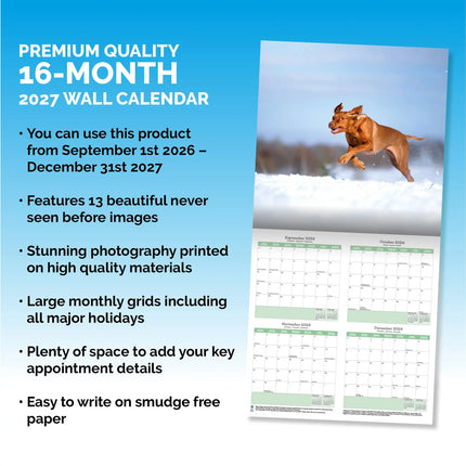 Baker & Bray Vizsla Kalender 2027