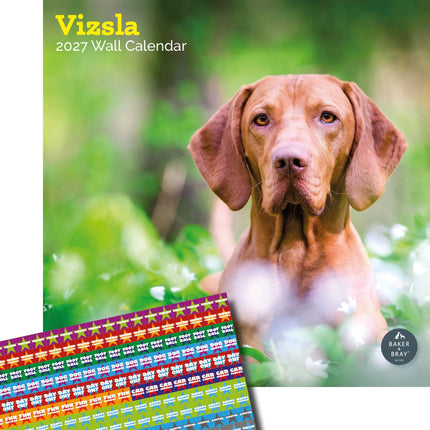 Baker & Bray Vizsla Kalender 2027