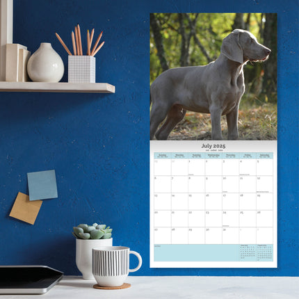 Baker & Bray Weimaraner Kalender 2025