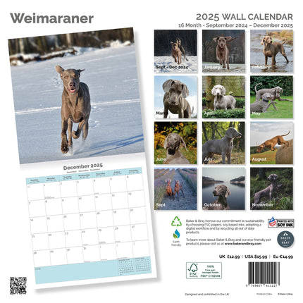 Baker & Bray Weimaraner Kalender 2025