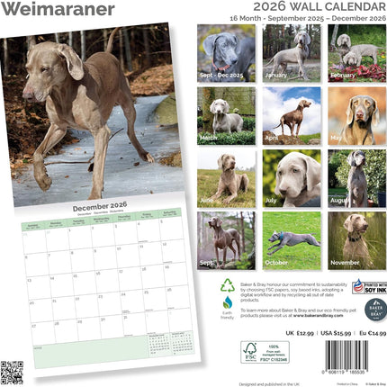 Baker & Bray Weimaraner Kalender 2026