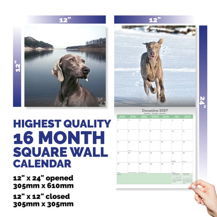 Baker & Bray Weimaraner Kalender 2027