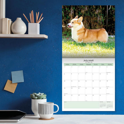 Baker & Bray Welsh Corgi Kalender 2026