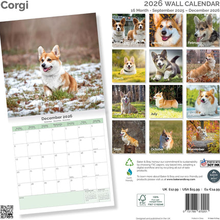 Baker & Bray Welsh Corgi Kalender 2026