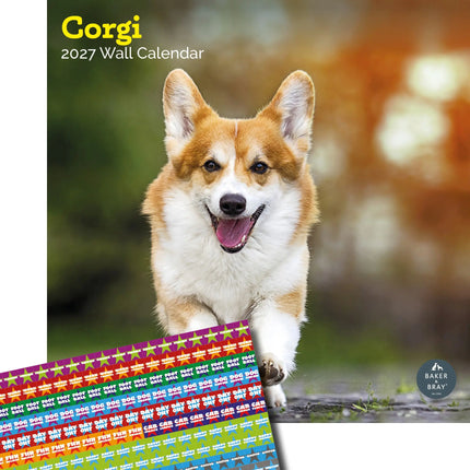 Baker & Bray Welsh Corgi Kalender 2026