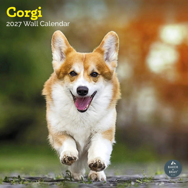 Baker & Bray Welsh Corgi Kalender 2027