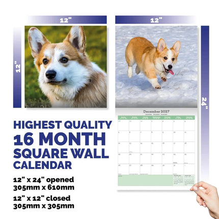 Baker & Bray Welsh Corgi Kalender 2027