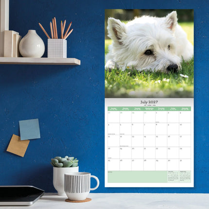 Baker & Bray West Highland White Terrier Kalender 2027