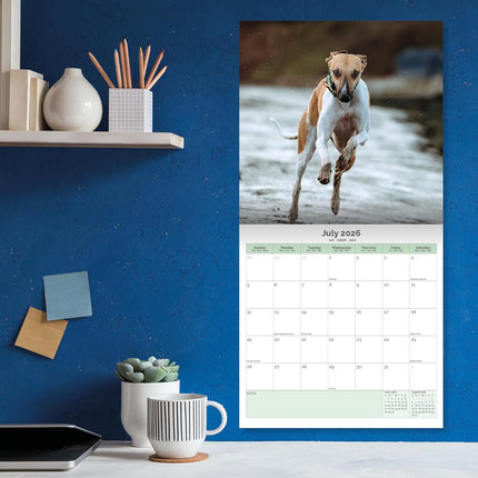 Baker & Bray Whippet Kalender 2026